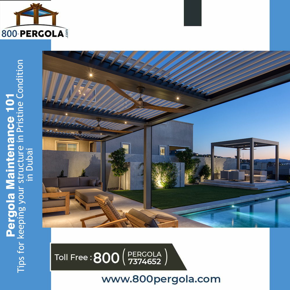 Discover essential tips for Pergola Maintenance in pristine condition. Keep your Dubai structure looking its best with our expert's advice.